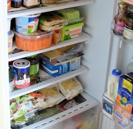 Fridge-5-450x680